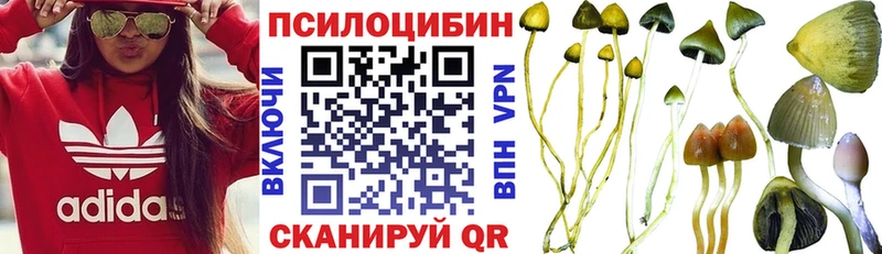 Галлюциногенные грибы GOLDEN TEACHER  Западная Двина 